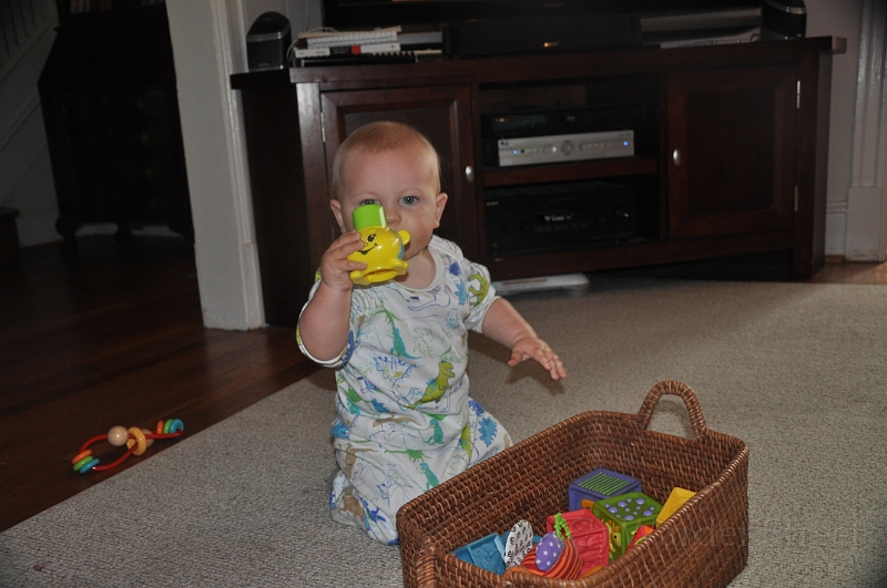 William's Forty-Third Week 29.jpg